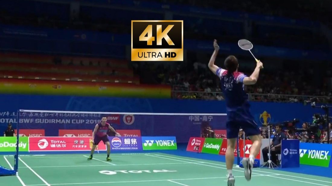 法国队力克中国队，李梓嘉关键制胜的简单介绍